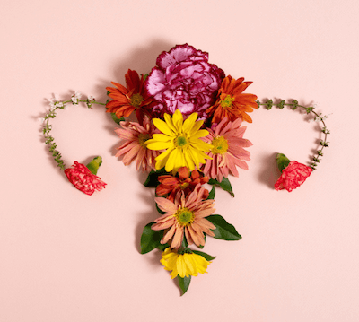 Plenareno PCOS Congress at Abu Dhabi